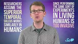 Why Do You Feel Like You’re Being Watched? Instructional Video