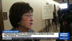 Congress reacts to DOGE, sweeping layoffs within the federal government News Clip