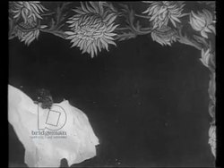 Dancing in the 20s, Charleston, Isadora Duncan, dance class and competitions, Jazz band Stock Footage