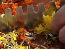 How to Make Perfume Instructional Video