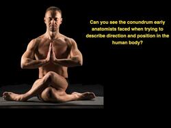 Anatomical position Instructional Video