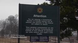 Pleas for action to protect inmates from COVID-19 outbreaks News Clip