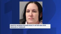 Mastic woman pleads guilty after her dog mauled toddler Instructional Video