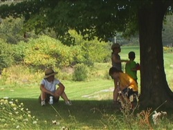 Hábitos saludables: introducción Instructional Video