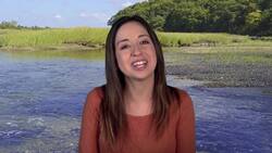 The Pequot Tribe: Culture, Lifestyle, and History Instructional Video