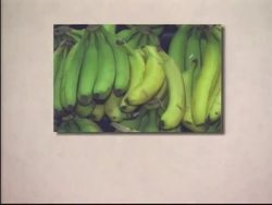 Let's Go To: Take a look at some more pictures Instructional Video