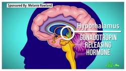 Why Did You Skip a Period? Instructional Video