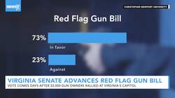 Virginia State Senate Advances Red Flag Gun Bill News Clip