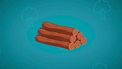 I WONDER - What Materials Do Trees Give Us? Instructional Video
