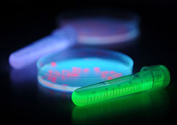 Chemiluminescence Instructional Video