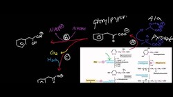 Phenylketonuria Enzymatic Pathways Instructional Video