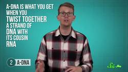 Here's What DNA Really Looks Like Instructional Video