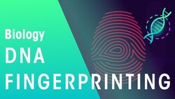 Huella Genética - Genética Instructional Video
