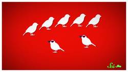 Why Are So Many Pro Athletes Lefties Instructional Video