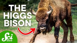 5 Mysteries Science Created and Solved Instructional Video