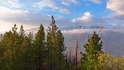 Drone Explores Sequoia National Park's Beauty Instructional Video
