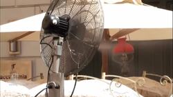 Parts of Europe face record-high temperatures News Clip