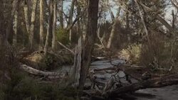 CLEAN : Chile's distant paradise where scientists study climate change News Clip