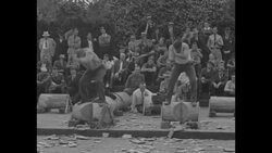 Wood chopping at Mountain State Forest Festival in WV News Clip