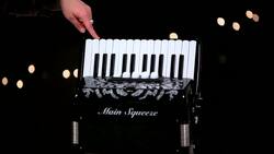 What's the Accordion Keyboard? Instructional Video
