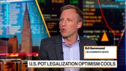 AFC Gamma's Tannenbaum on Loaning to Cannabis Firms News Clip