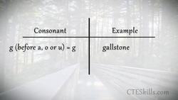 HST-MT - Pronouncing Medical Terminology Instructional Video