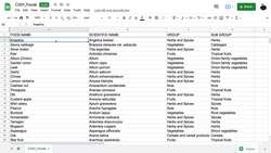 Google Sheets Fundamentals - Sorting Data Instructional Video