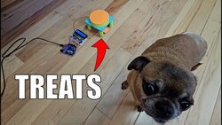 Automatic Dog (or cat) Treat Dispenser with Arduino Instructional Video