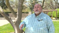 Trees blooming earlier in Windsor this year News Clip