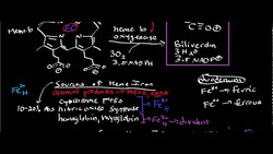 Iron Absorption 2 Instructional Video