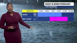 STORM WATCH: Snow, freezing rain, sleet to make for treacherous morning commute in the Bronx News Clip