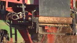 This device could help P.E.I. farmers crush weeds and save their crops News Clip