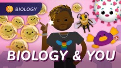 Biology and You: The Dr. Sammy Show: Crash Course Biology #50 Instructional Video