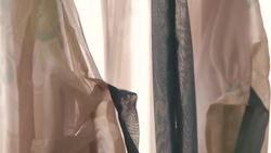 How to Wear Hanfu: Qixiong Ruqun (齊胸襦裙) from the Tang Dynasty Instructional Video