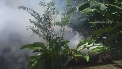 Fumigate mosquito killing to prevent disease Stock Footage