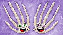 All Of The Bones In Your Hands | KLT Anatomy Instructional Video