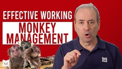 What is Monkey Management? How to Deal with a Monkey on Your Back Instructional Video