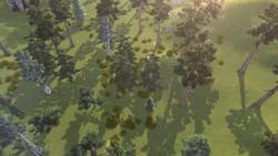 Winter: The Coldest Season Explained Instructional Video