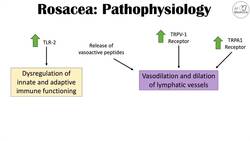 Rosacea (Red Lesions on Face) | Causes, Triggers, Types, Signs & Symptoms, Diagnosis, Treatment Instructional Video