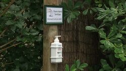 Penguins in an enclosure at Birdworld bird park News Clip