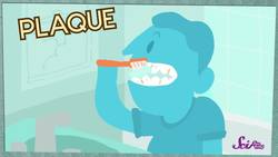 Visiting the Dentist! Instructional Video