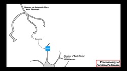 Pharmacology of Parkinson's Disease Instructional Video