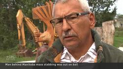 Mass stabbing attacker who killed sister was out on bail News Clip