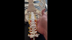 First Rib Mobility Assessment & Mobilization Treatment Instructional Video