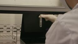 Scientists in Japan work on producing covid-19 vaccination News Clip