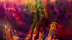 How Do Rainbows Form? Instructional Video