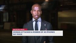 Woman attacked, $40K in iPhones stolen in Bay Ridge; 4 men wanted News Clip