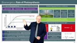 Factors Affecting Photosynthesis and Maximizing Plant Growth Instructional Video