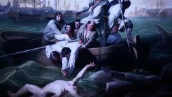 The Plight of Sharks: Misconceptions and Conservation Efforts Instructional Video