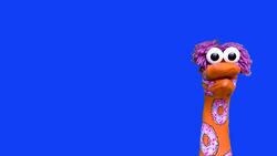 Exploring Earth's Diverse Biomes Instructional Video